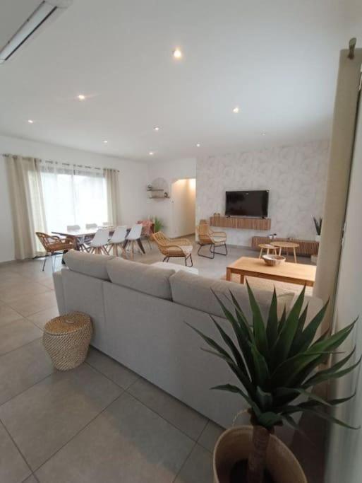 Villa Des Rives Du Tarn Avec Jacuzzi Montans المظهر الخارجي الصورة